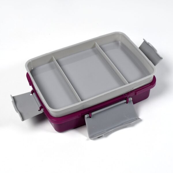 7174 Lunch Box 2 Compartment Lunch Box Plastic Tiffin Box for Boys, Girls, School & Office
